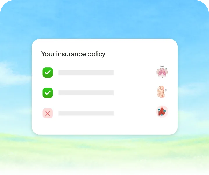 An insurance policy showing clear inclusions and exclusions