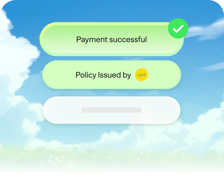Payment confirmed and a policy issued directly by the insurer
